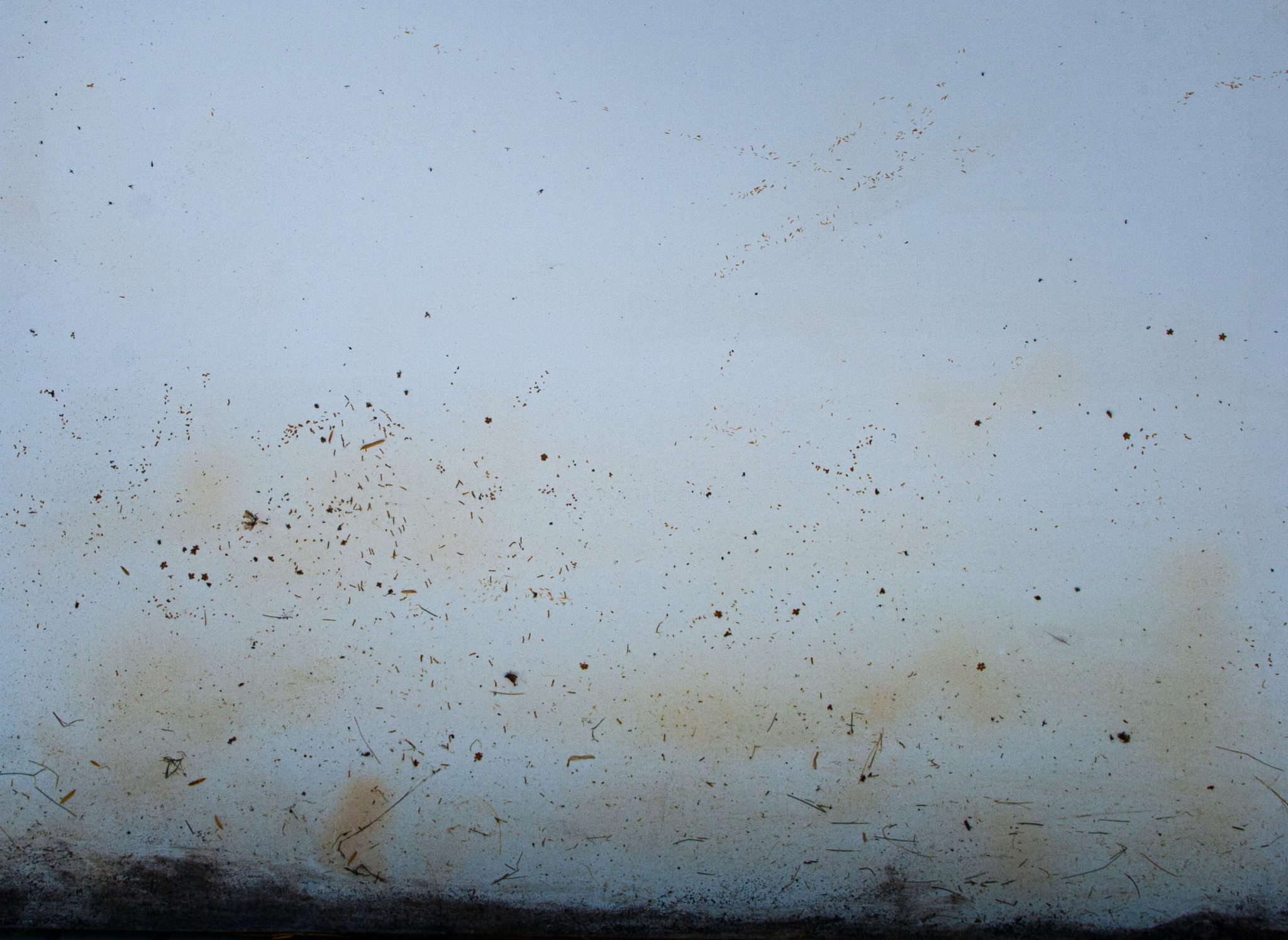 David le Viseur, "A Landscape Painting Itself", Landscape on Canvas, 120x80cm, 2013