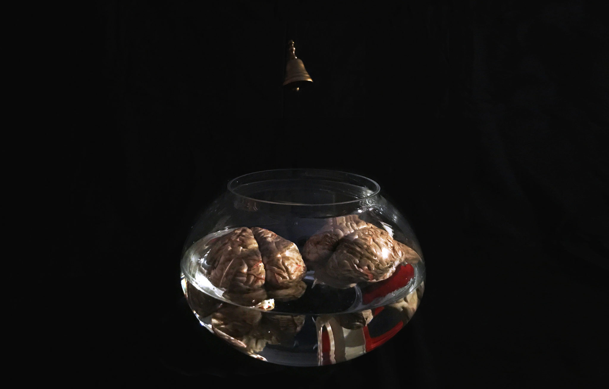David le Viseur, Something You Always Wanted to Know About Neuroart, Installation View, 2017